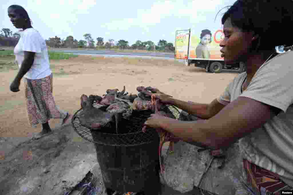 Une femme sèche la viande de brousse près d'une route de l'autoroute Yamoussoukro 29 mars 2014. La viande de brousse - de chauves-souris à des antilopes, des écureuils, porcs-épics et des singes – est souvent au menu des repas des familles en Afrique occidentale et centrale. REUTERS / Thierry Gouégnon (CÔTE-D'IVOIRE - Tags: aliments de santé) - RTR3J4YW