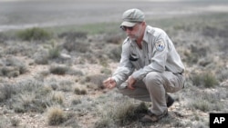 Biologist Jude Smith looks over native grasses at the Muleshoe National Wildlife Refuge outside Muleshoe, Texas, May 18, 2021. 