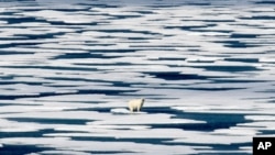 Arhiva - Fotografija polarnog medveda koji stoji na santi leda, u Frenkilnovom moreuzu u Kanadskom artkičkom arhipelagu, 22. jula 2017.