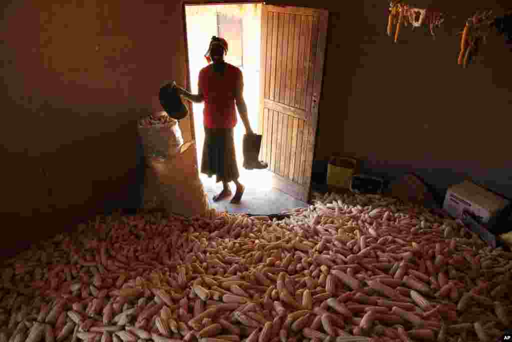 ZIMBABWE: Inadequate storage causes major losses of African harvests. A woman stands in a hut filled with maize grain in Epworth, a community outside Harare, Zimbabwe Tuesday, Oct. 16, 2012. 