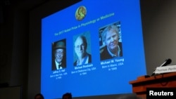 Jeffrey C. Hall, Michael Rosbash et Michael W. Young sont dévoilés lors d'une conférence de presse à Stockholm,Suède, le 2 octobre 2017. 
