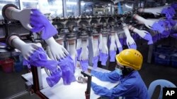 Seorang pekerja memeriksa hasil produksi sarung tangan sekali pakai di pabrik "Top Glove" di Shah Alam di luar Kuala Lumpur, Malaysia, 26 Agustus 2020. (AP Photo/Vincent Thian, File)