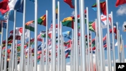 Des drapeaux de différents pays au village COP22, à Marrakech, au Maroc, le 8 novembre 2016.