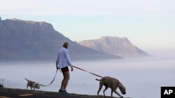 A woman walks her dogs in Cape Town, South Africa, May 1, 2020, as the government began a phased easing of its strict lockdown measures in a bid to cut down on the spread coronavirus.