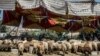 Le Caire veut en finir avec le sacrifice de moutons dans la rue
