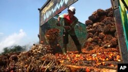 Seorang pekerja menurunkan buah kelapa sawit di pabrik pengolahan kelapa sawit di Lebak, Indonesia, 19 Juni 2012. (Foto: Dok/AP)