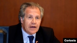El secretario general de la OEA, Luis Almagro, aplaudió al Consejo Permanente por fijar fecha para tratar la situación venezolana. 