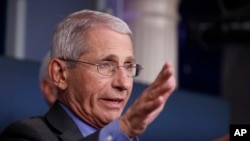 Dr. Anthony Fauci, director of the National Institute of Allergy and Infectious Diseases, speaks about the coronavirus in the James Brady Press Briefing Room at the White House, Monday, April 13, 2020, in Washington. (AP Photo/Alex Brandon)