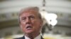 Дональд Трамп збирається зустрітися з Путіним "дуже швидко" - Newsmax