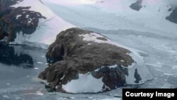 Los investigadores tomaron muestras de la vegetación en el noroeste de la isla Alexande, en la Península Antártica. (British Antarctic Survey)