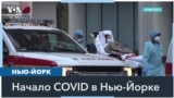 «Птичий грипп может стать похожим на COVID» 