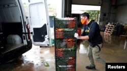 Trabajadores agrícolas se mantienen activos a pesar del coronavirus (COVID-19), 22 de abril de 2020. 