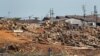 EE.UU. continúa bloqueando importación ilegal de madera desde Perú