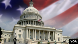 US Congress; Ginin Majalisar Dokokin Amurka