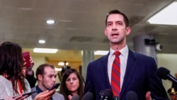 资料照：共和党联邦参议员科顿（Sen. Tom Cotton, R-AR）