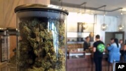 Des clients achètent des plants de cannabis le 20 avril 2016, à San Francisco, États-Unis. 