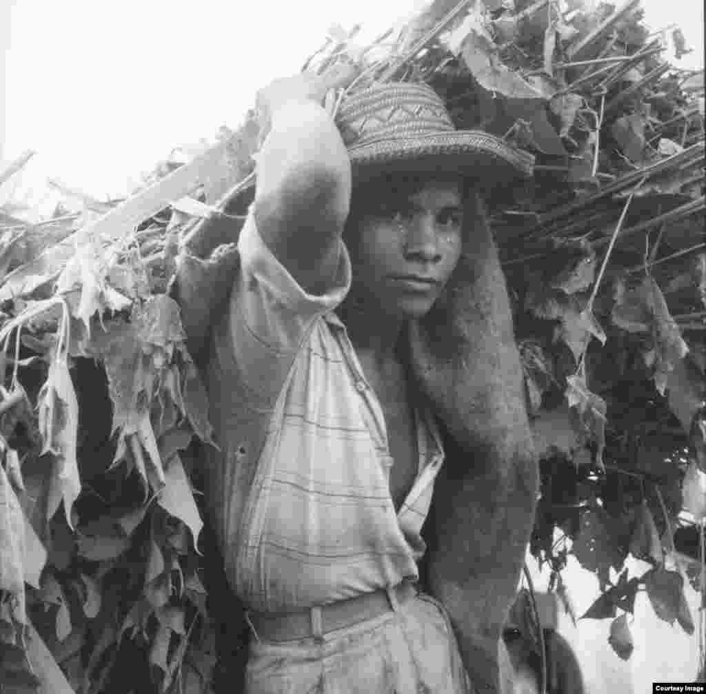 Venesuela. 1960-yil. Amerikalik suratkash, fotojurnalist Doroteya Lang Buyuk tushkunlik davrini mohirona tasvirga tushirgan. U hujjatli fotografiya rivojiga qo'shgan hissasi bilan tanilgan.