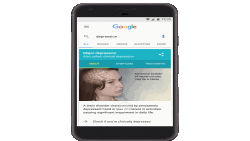 Google Depression Questionnaire