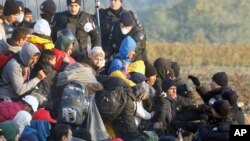 移民从塞尔维亚涌入克罗地亚边境(2015年10月21日)