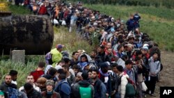 Migrants line up after crossing a border from Croatia near the village of Zakany, Hungary, Sept. 26, 2015.