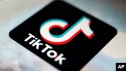 智慧型手机上TikTok应用程序标志。
