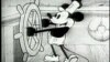 Mickey the story of a Mouse