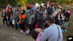 Des migrants en Hongrie (AP)