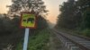Sri Lanka reports massive tolls in human-elephant conflicts