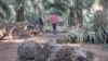 Kampong Speu Palm Sugar Producers Call on Gov’t to Retain EBA
