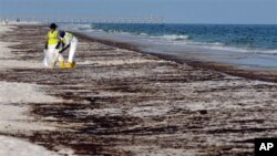 Para petugas tampak tengah membersihkan minyak di pantai Pensacola, Florida, akibat insiden tertumpahnya minyak dari Teluk Meksiko, 23 Juni 2010 (Foto: dok). Perusahaan Halliburton Energy Services didenda $200 ribu setelah mengaku bersalah menghancurkan bukti terkait insiden tersebut, Kamis (25/7).
