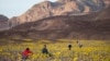 Life in Death Valley National Park 