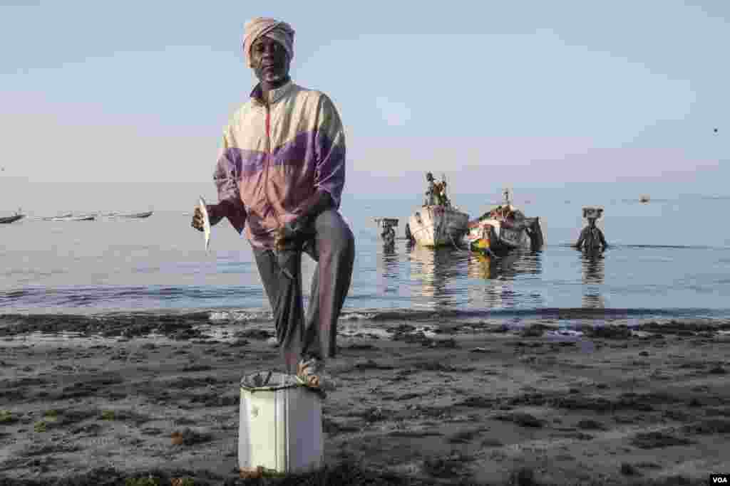 Abdou Rakhmane Sidibe is a “lag-lagal,” the term used for the men and women who buy fish directly from the boat and then turn around and sell those fish to market vendors, individuals who just want to cook dinner, or other fishermen, who then use them as bait. Joal, Senegal, May 30, 2017. (R. Shryock/VOA)
