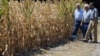 UN Urges Countries to Develop National Drought Policies