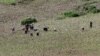 UN: Drought-hit North Korea Cuts Food Distribution