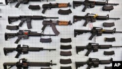 US Gun Control 