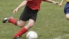 Quiz - Physically Fit Children Do Better in School