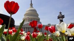 Congresso dos Estados Unidos