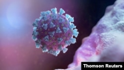 Imagen generada por ordenador que representa un betacoronavirus, que es el tipo de virus vinculado con la COVID-19, desarrollada por el Trinity College de Dublín.