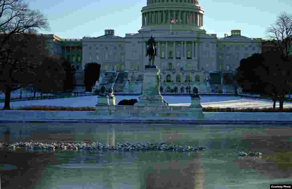 Burung-burung camar istirahat di sebuah kolam yang airnya membeku di depan gedung Capitol, setelah badai salju melanda kota Washington DC.