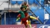 Deux Néerlandais pour entraîner les Lions indomptables du Cameroun