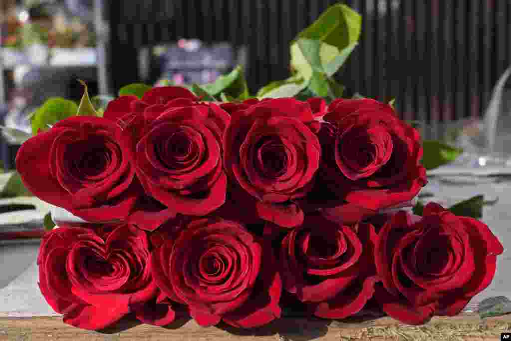 El 14 de febrero es una de las fechas más esperadas por los enamorados en muchas partes del mundo. Con flores, chocolates y peluches le expresan a sus parejas sus sentimientos. 