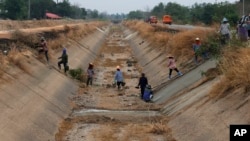 Petani Thailand terancam gagal panen karena musim kering terburuk dalam empat dekade (foto: ilustrasi). 