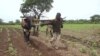 Au Mali, au moins 2 millions d’enfants travaillent