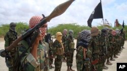 Les shebab combattent depuis plus de 16 ans le gouvernement fédéral somalien, soutenu par la communauté internationale.