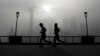 High Consumption, Trade Shift Harmful Effects of Pollution
