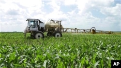 american farmers 