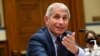 Fauci dice que prueba de detección del coronavirus es una "válvula de seguridad" en funcionamiento