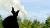 Thai Local Communities Want Their Say in Fighting Pollution