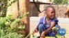 Researchers Test Fungus That Kills Malaria Mosquitos