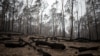 Australians Should Brace for Protracted Summer of Catastrophic Fires